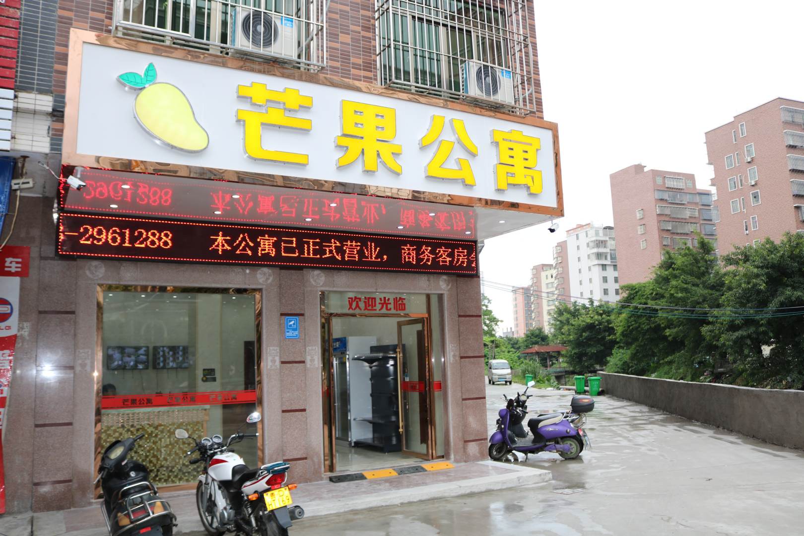 普宁芒果公禺