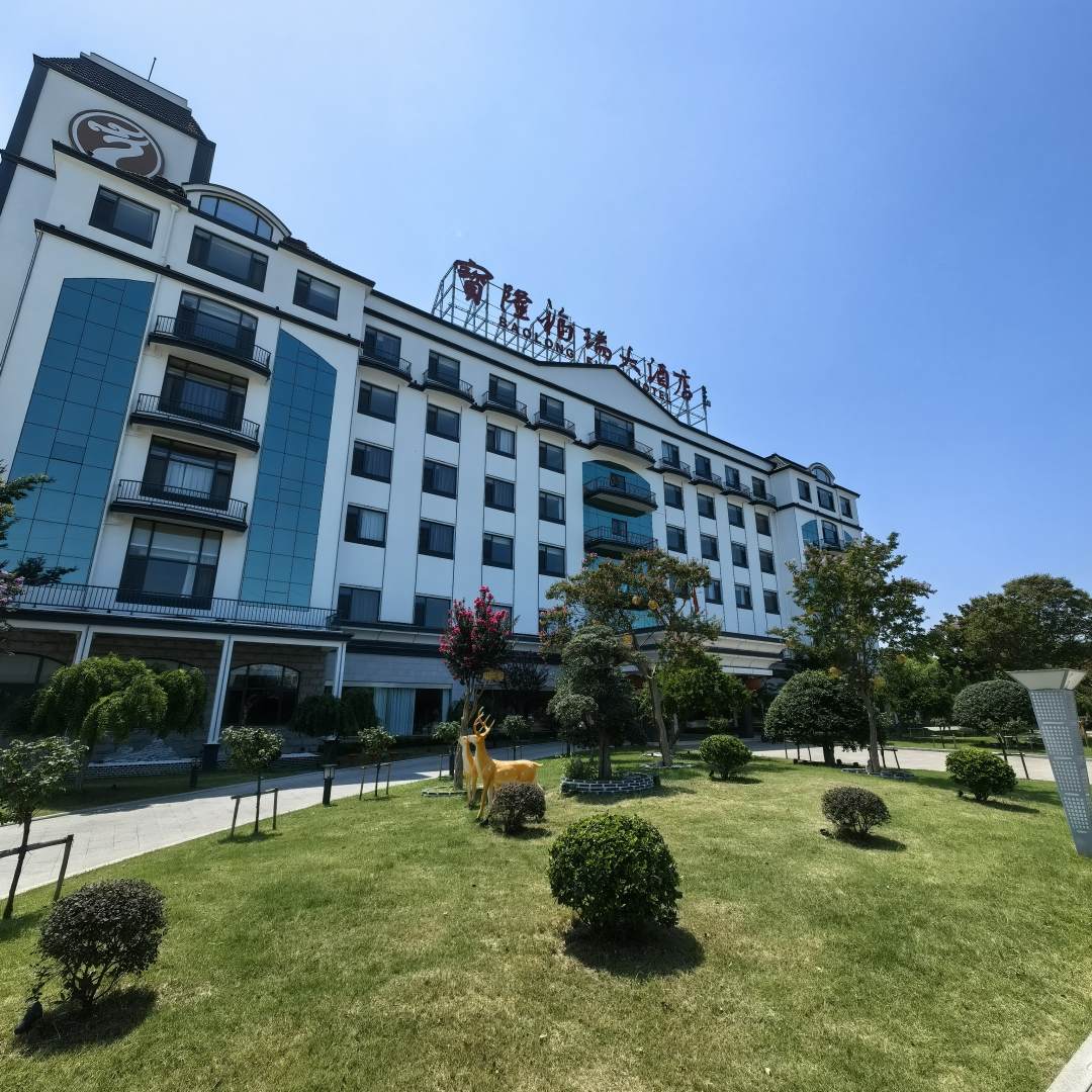 宝隆福瑞大酒店