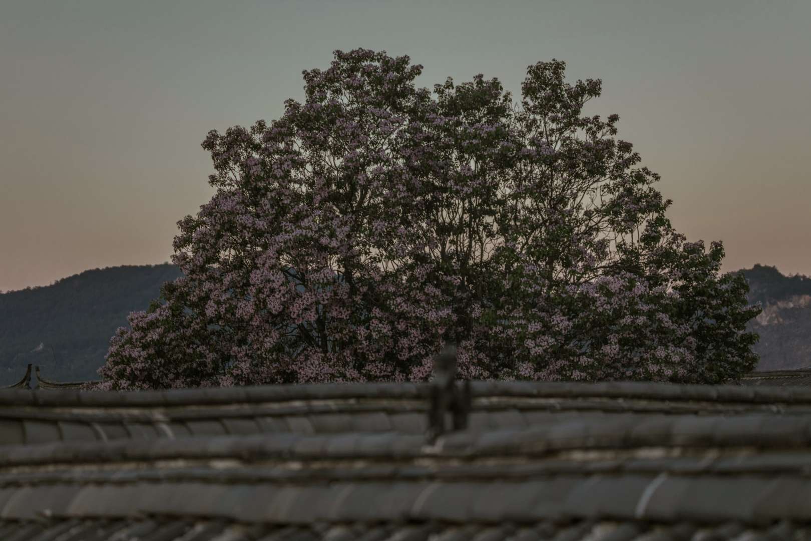 悦隐湾客栈