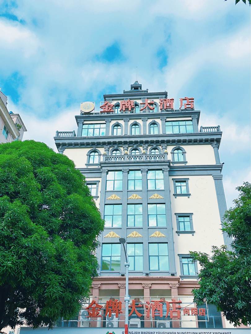 金牌大酒店(百色向阳店)