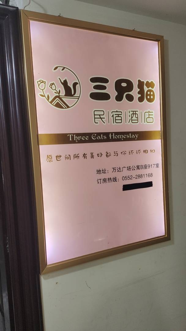三只猫民宿九点(万达广场店)