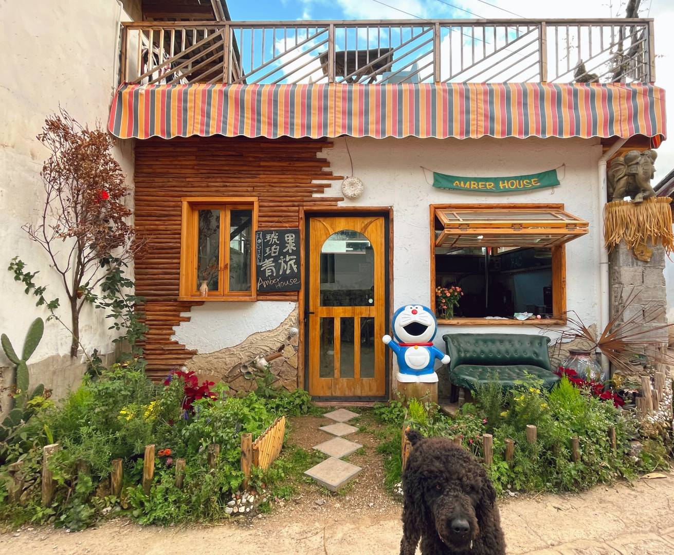 Amber House琥珀果青旅(丽江玉龙白沙古镇店)