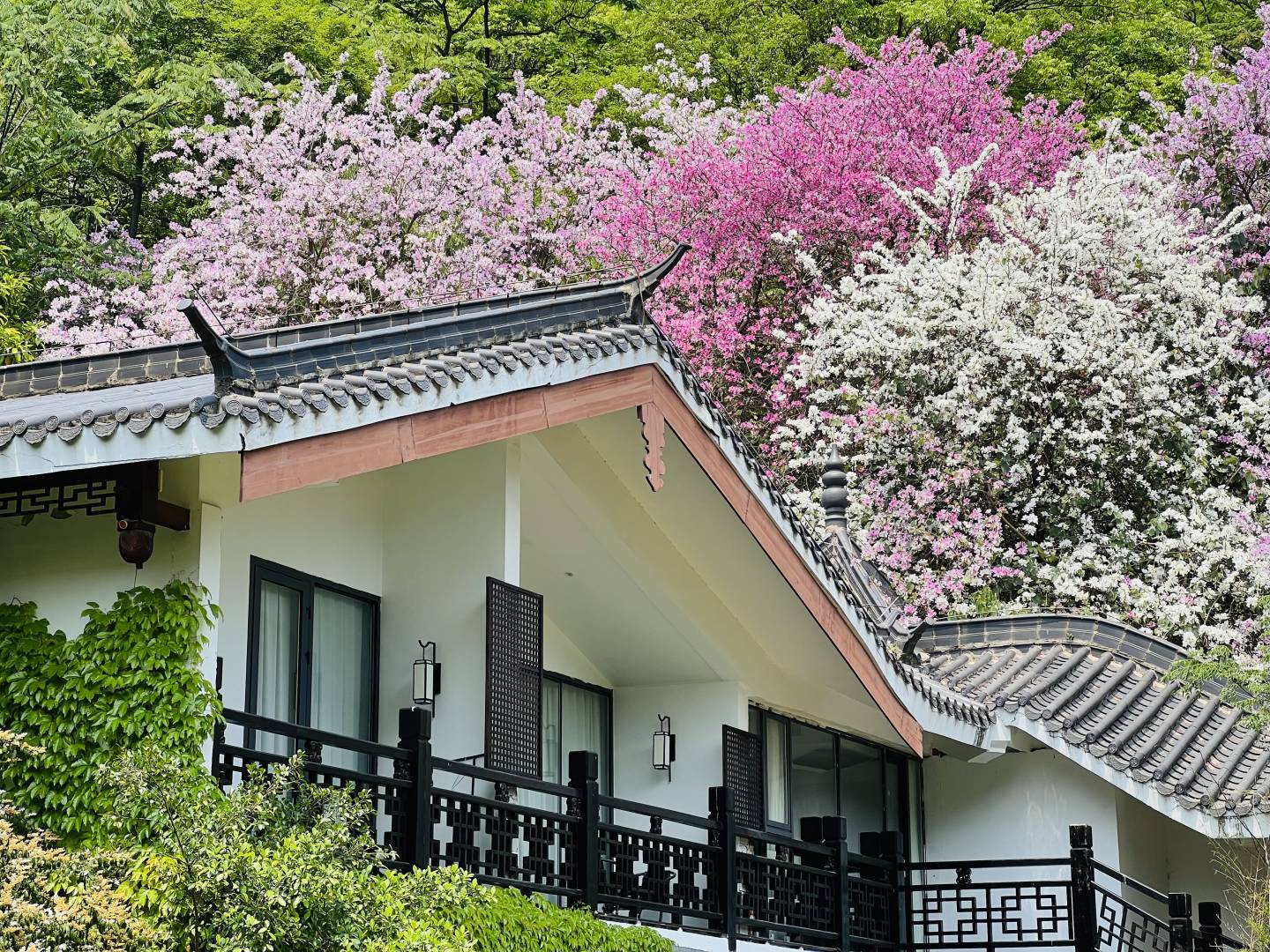 而然山水酒店
