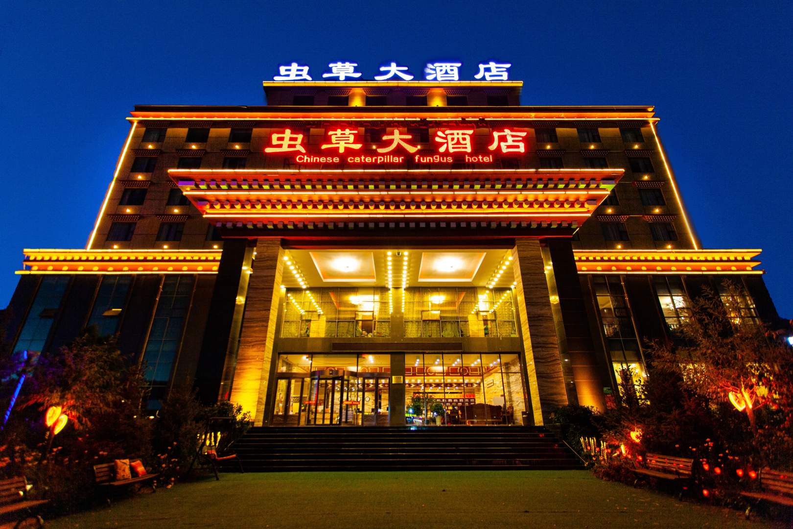 虫草大酒店