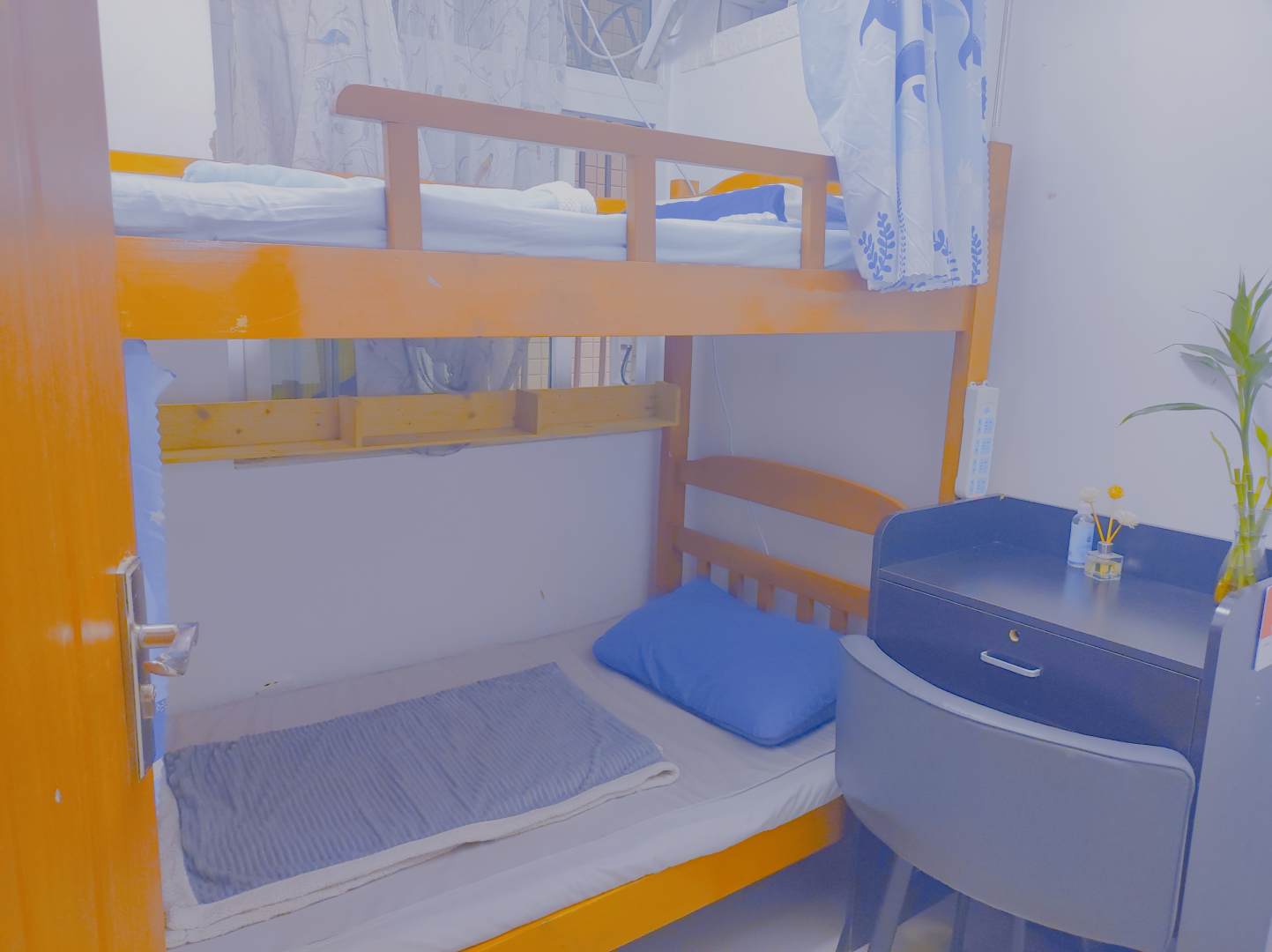 深圳游子青年旅社