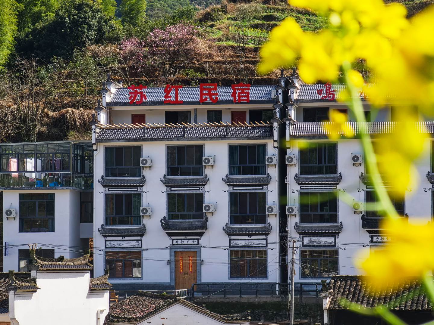 婺源蘇紅民宿