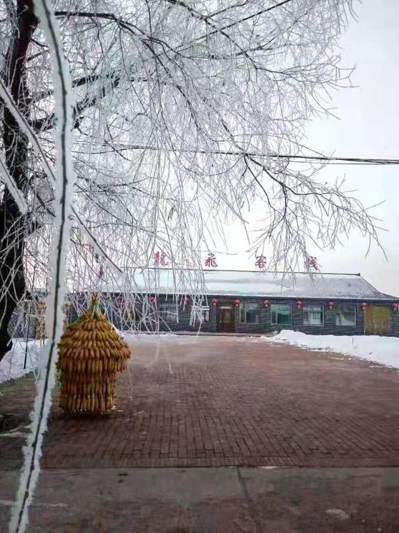 雾凇岛龙飞客栈