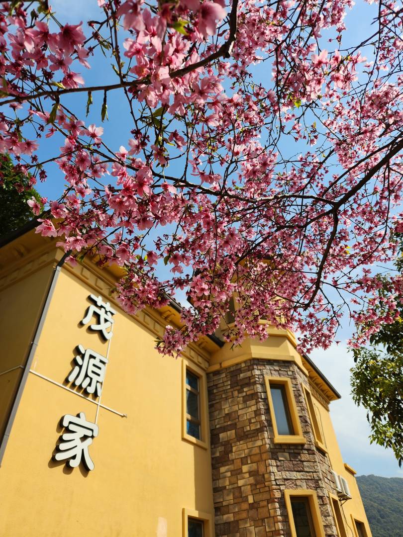 茂源家民宿