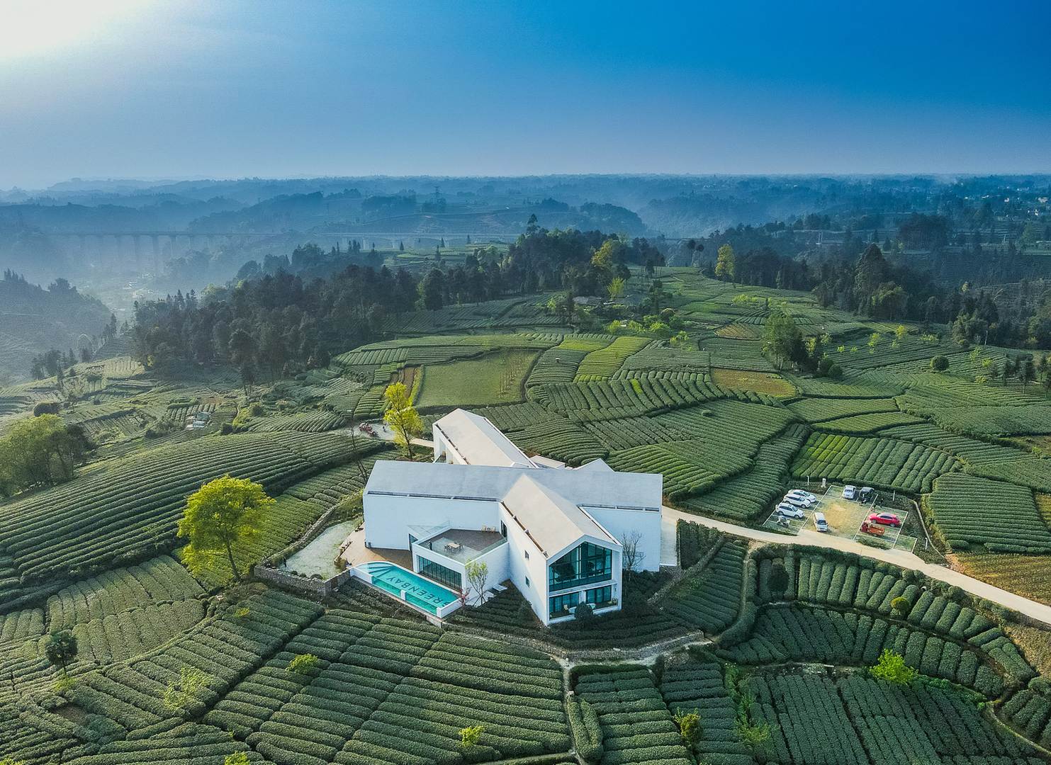 茶岸