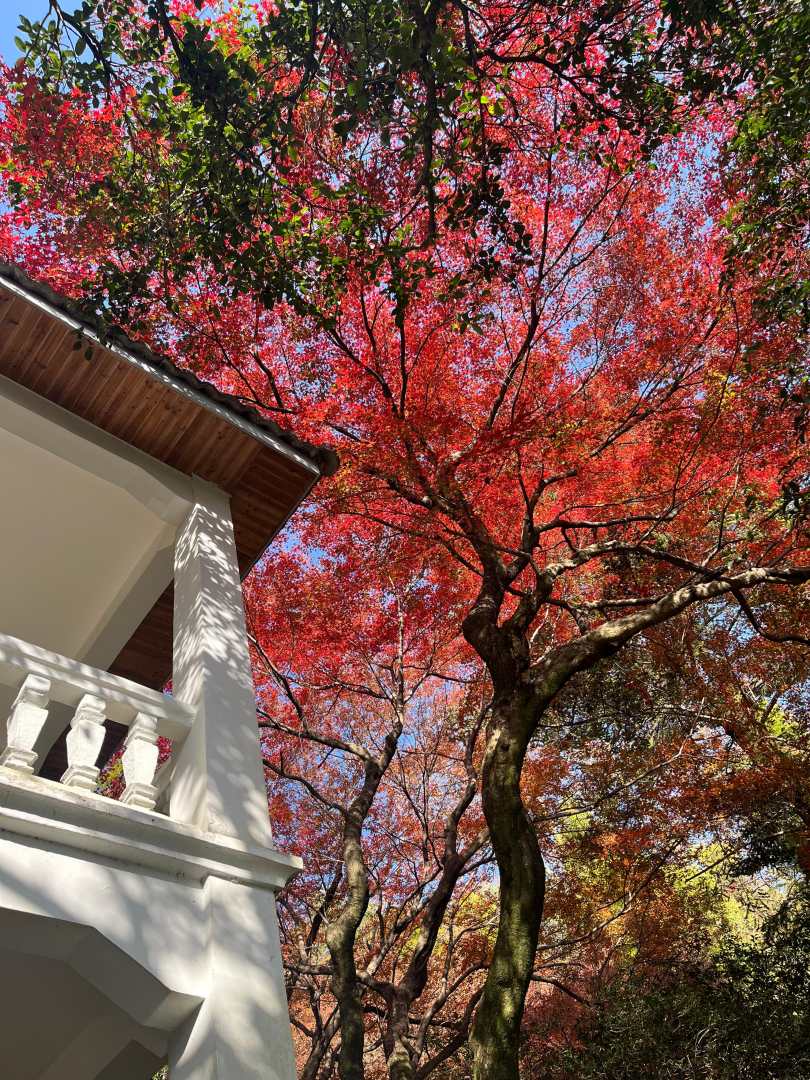 颐园(莫干山风景区店)