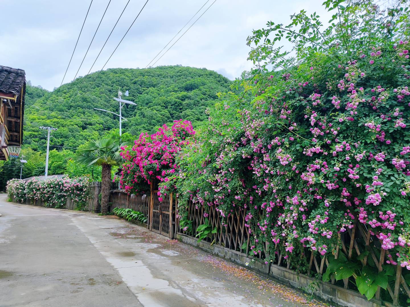 太白鳌山湑水民宿