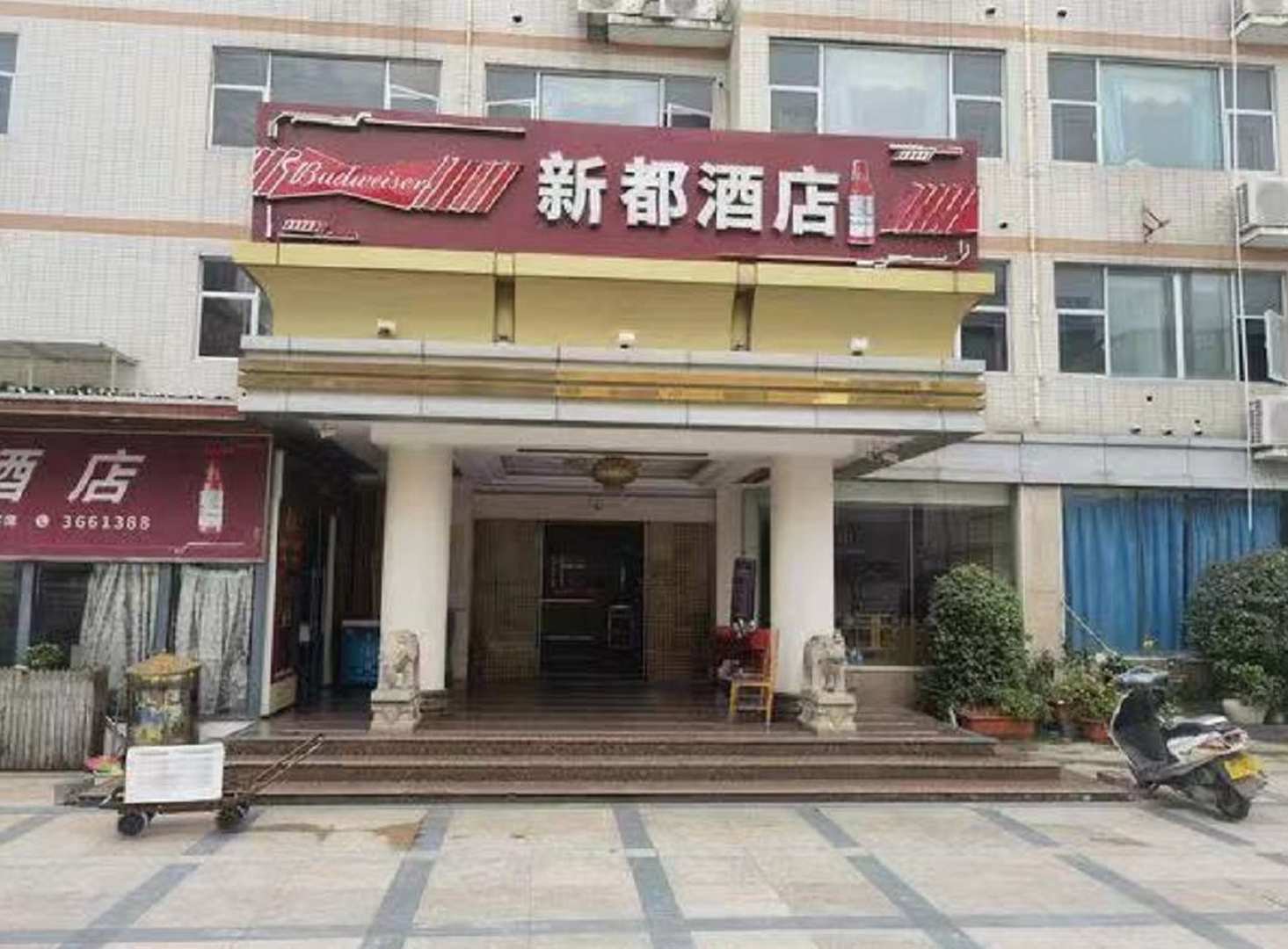 新都九点
