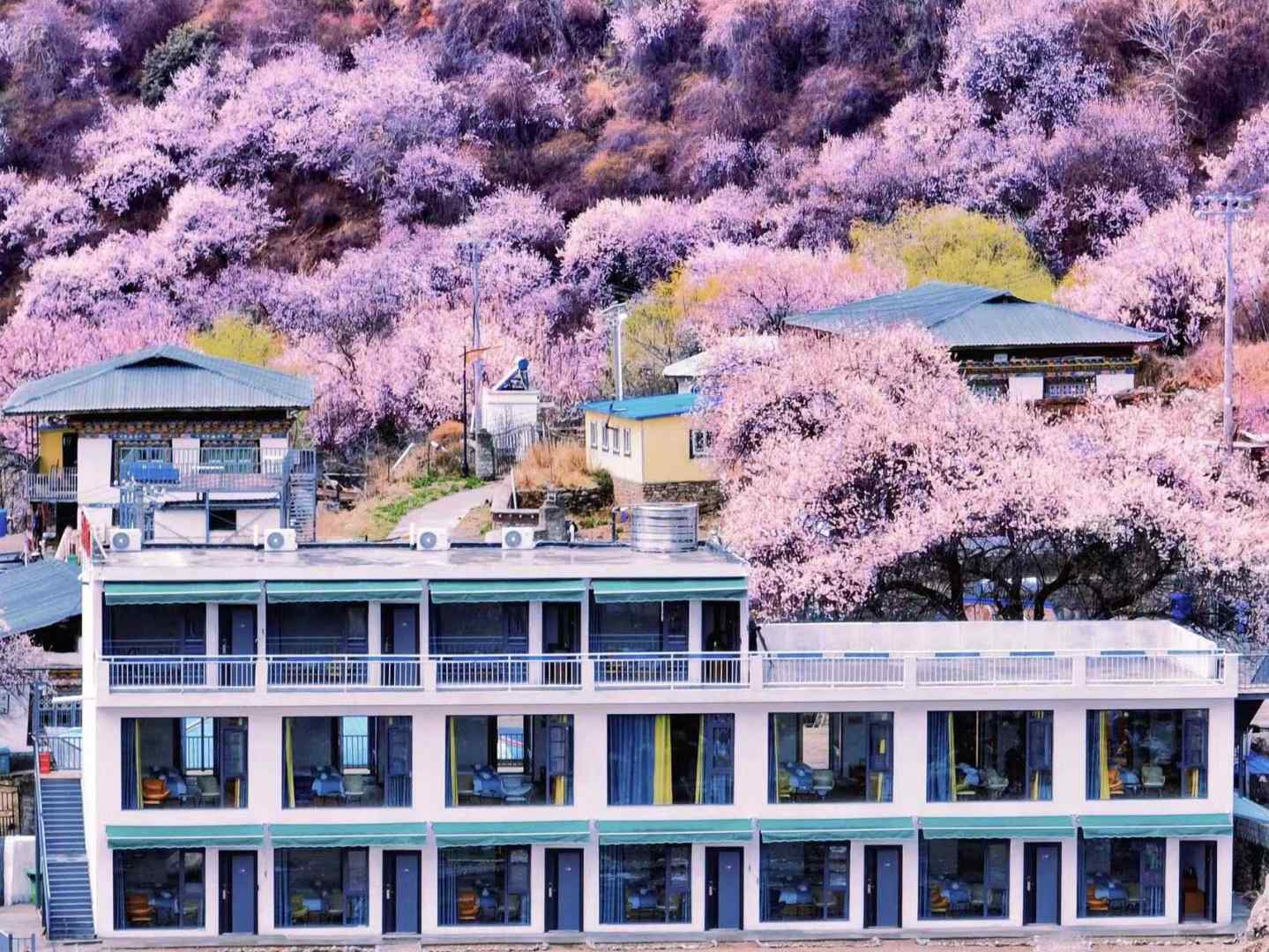 云顶庭院(索松村店)