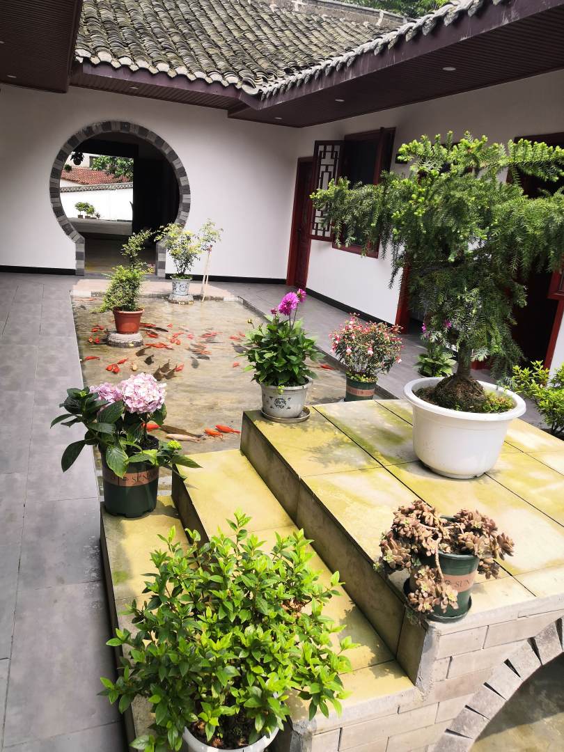 绵竹幽闲居民宿
