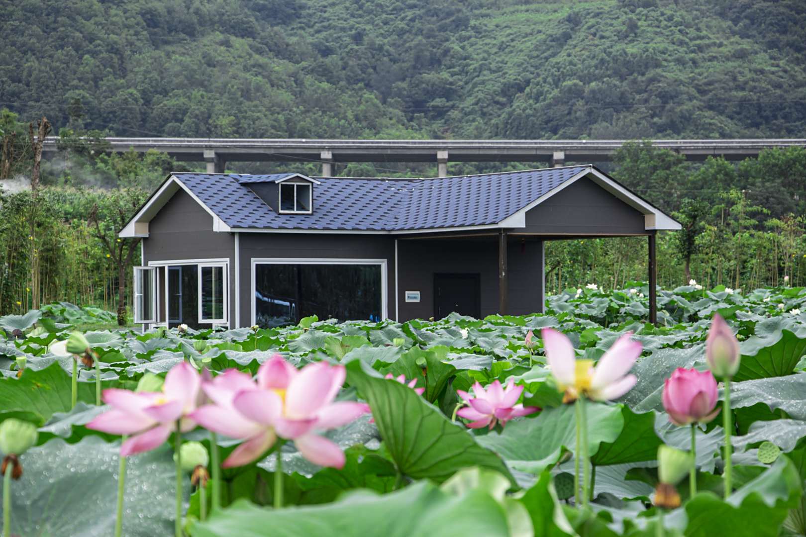 石泉荷塘月色民宿