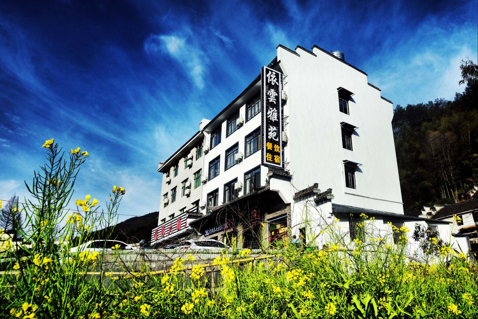 黄山依云雅苑酒店(黄山汤口风景区南大门店)