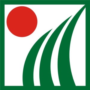 桂杏霖春药房(观音阁分店)