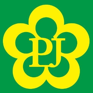 平嘉大药房(领秀城中央公园店)