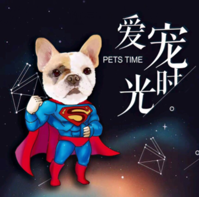 爱宠时光