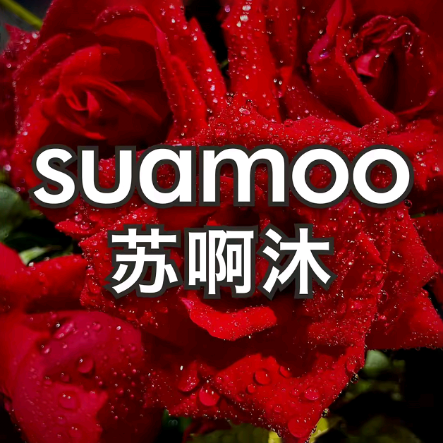 苏啊沐(钻石苑店)