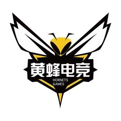 黄蜂电竞(青阳郡一期店)