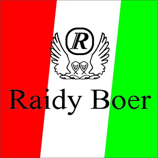 Raidy Boer(广场北路店)