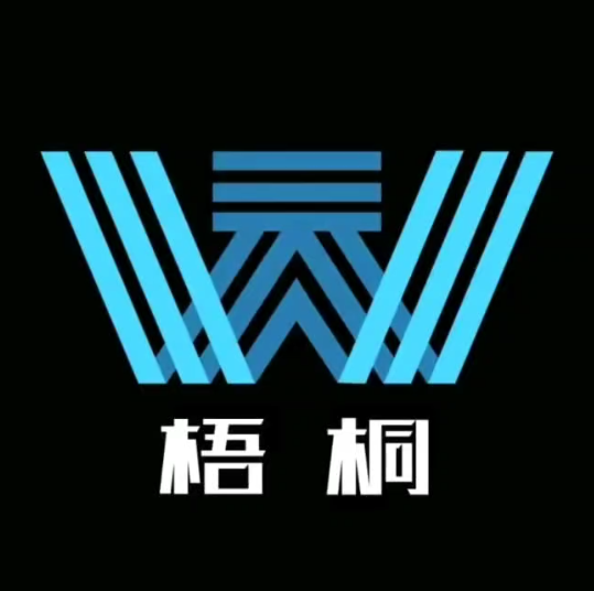 梧桐雨网咖(凤林店)