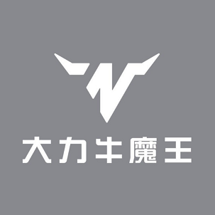 大力牛魔王汽车(淮南店)