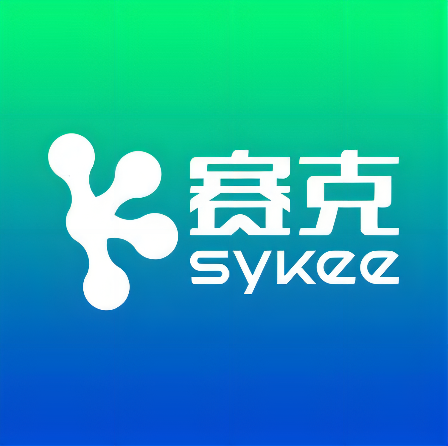 赛克电动车(长兵线店)
