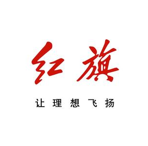 黄石市新兴振宇汽车销售有限公司