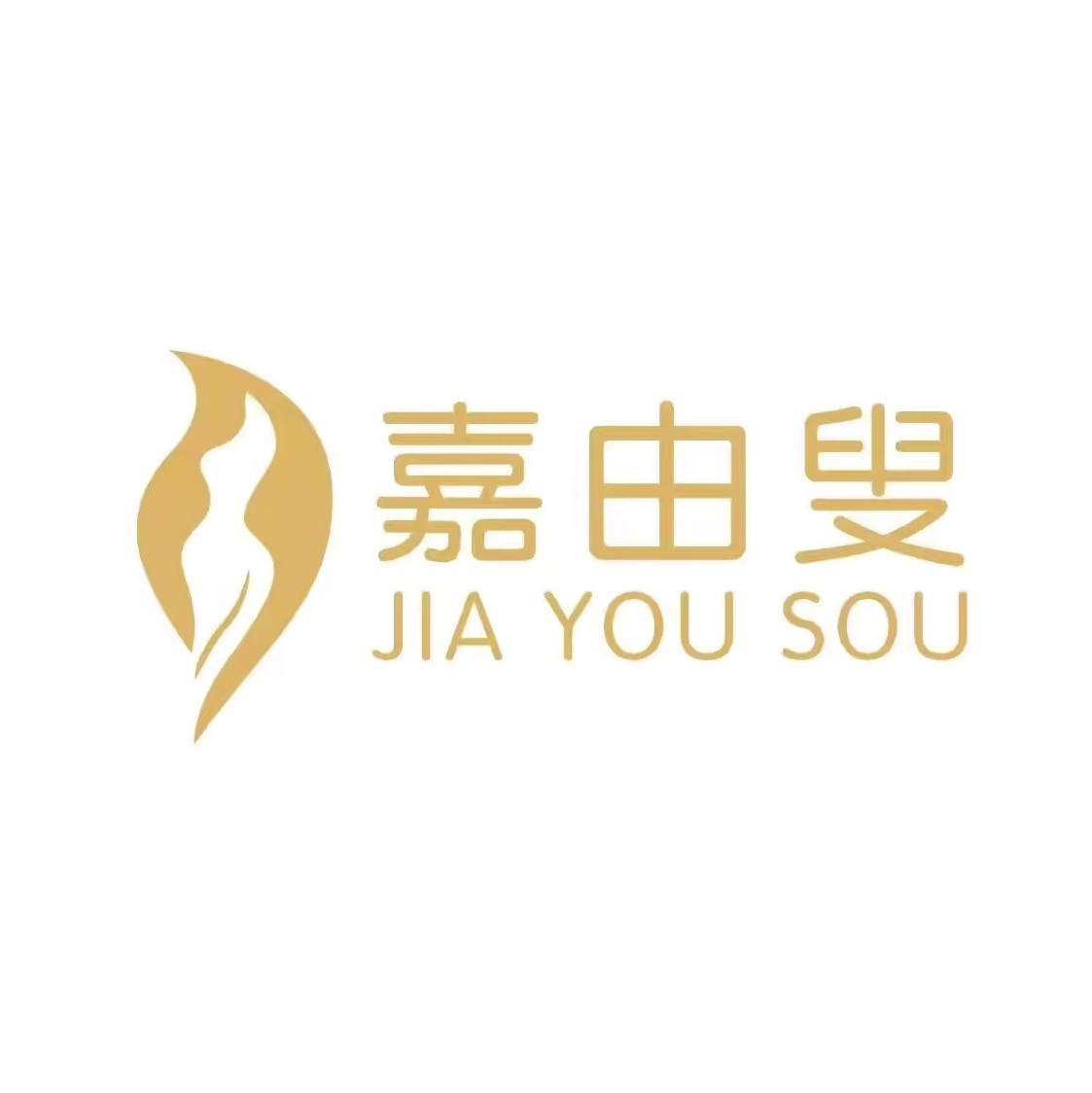 嘉由叟专业瘦身连锁机构(万达店)