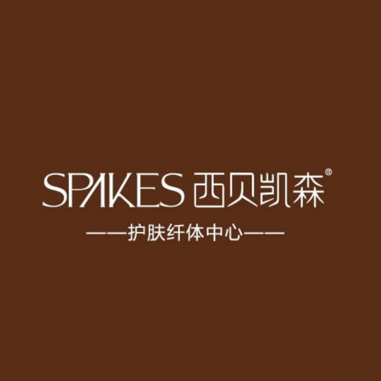 西贝凯森(望京店)