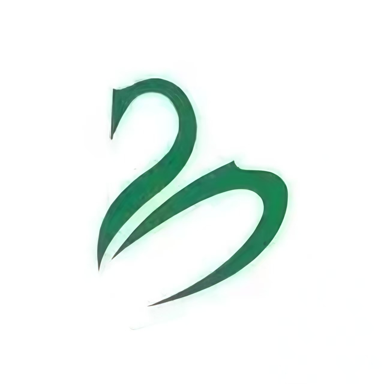 天鹅映像