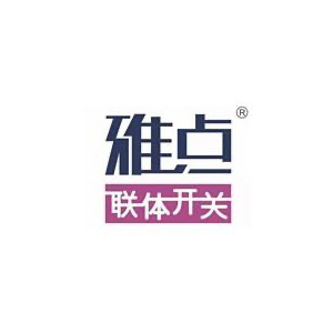 雅点联体开关(同正大道店)