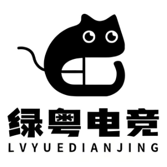 绿粤电竞(泰安路店)